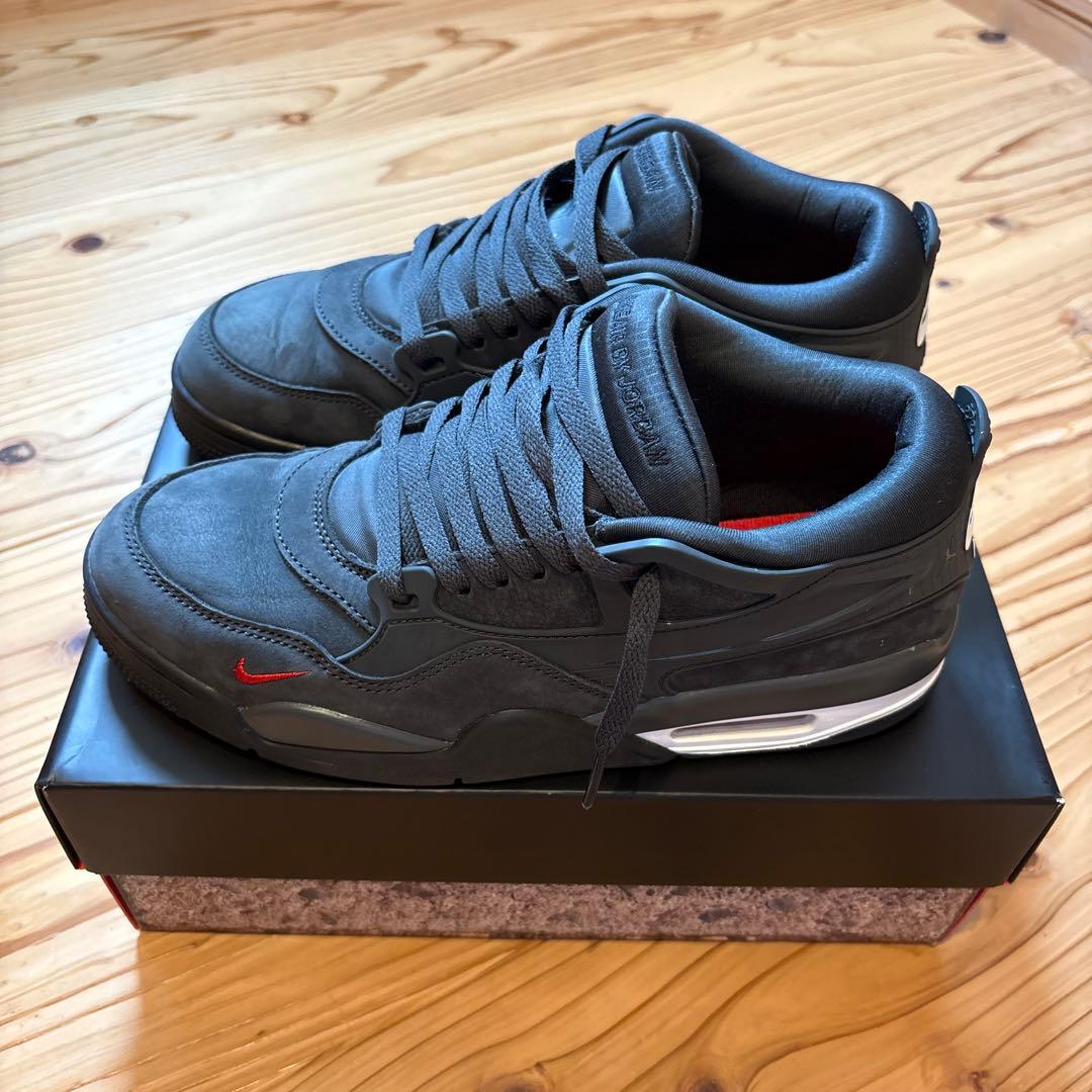 フリーハンド Sylvester × Nike Air Jordan 4