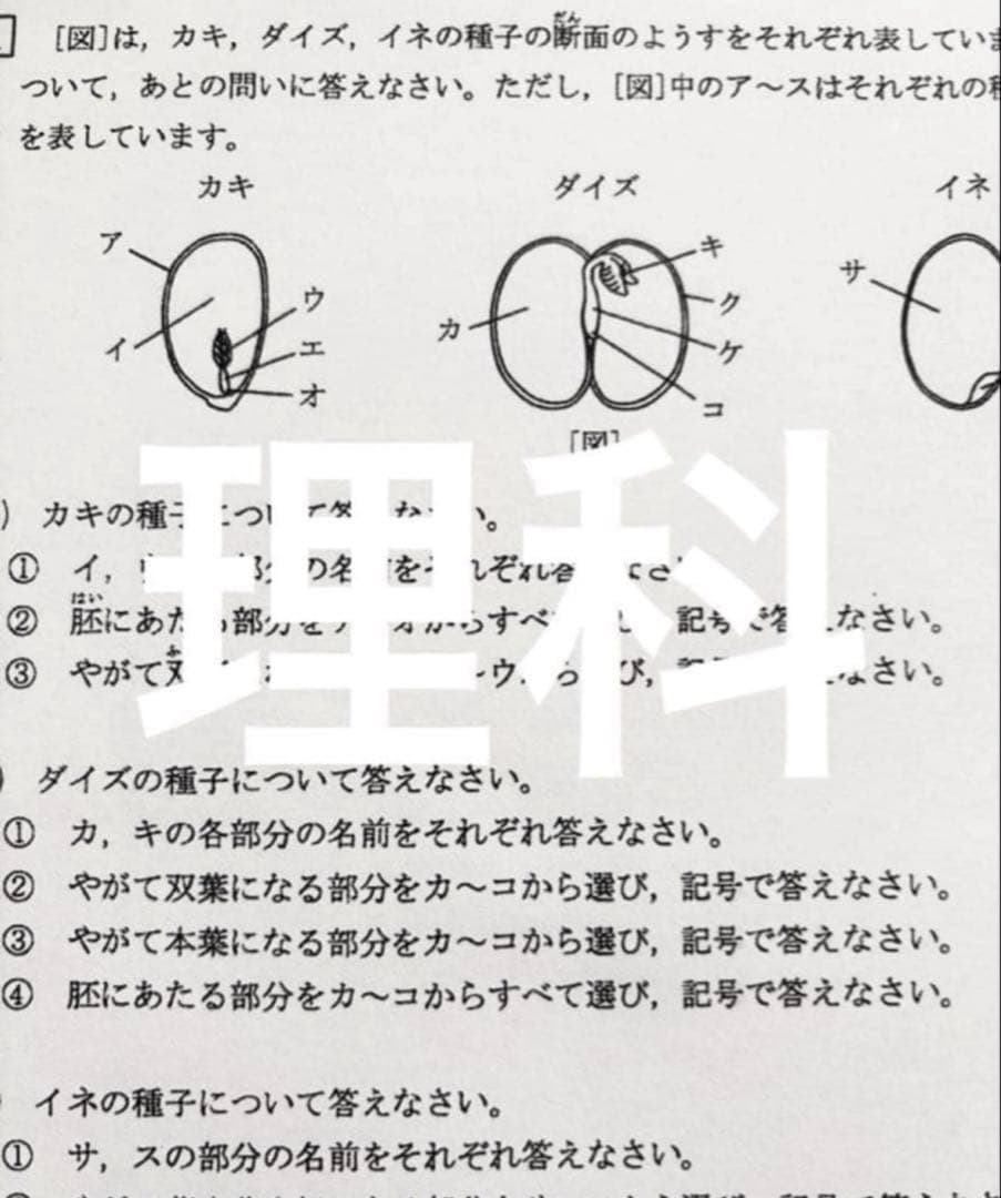 浜学園　小5 2024年度　復習テスト　Sクラス 3教科　実力、No.1〜21、