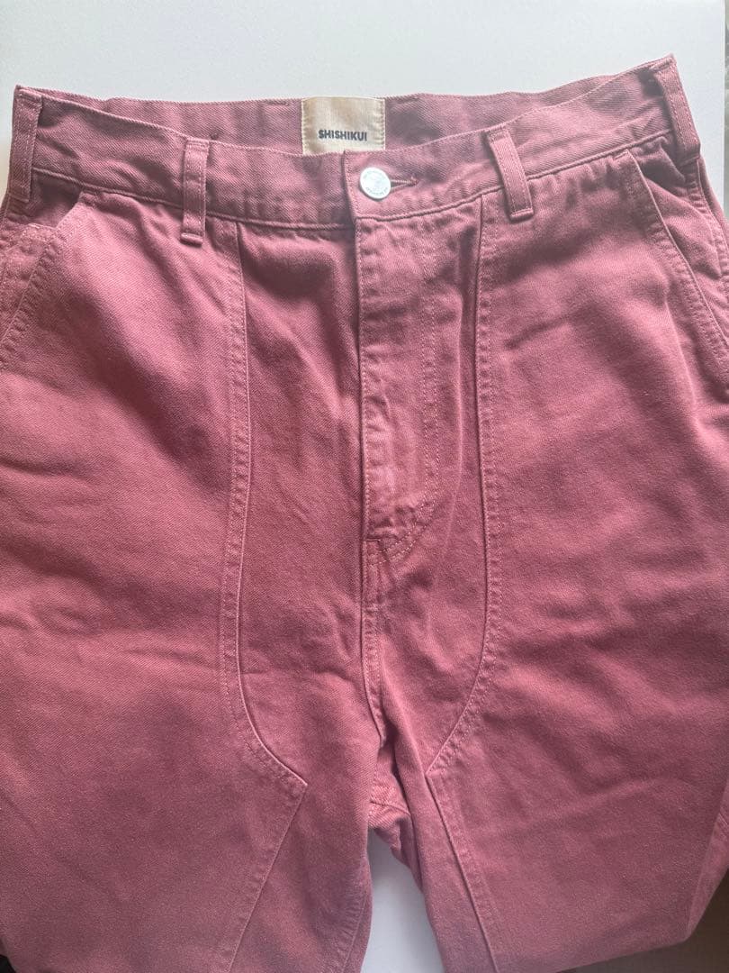 パンツ shishikui Painter pants / D.PINK 38