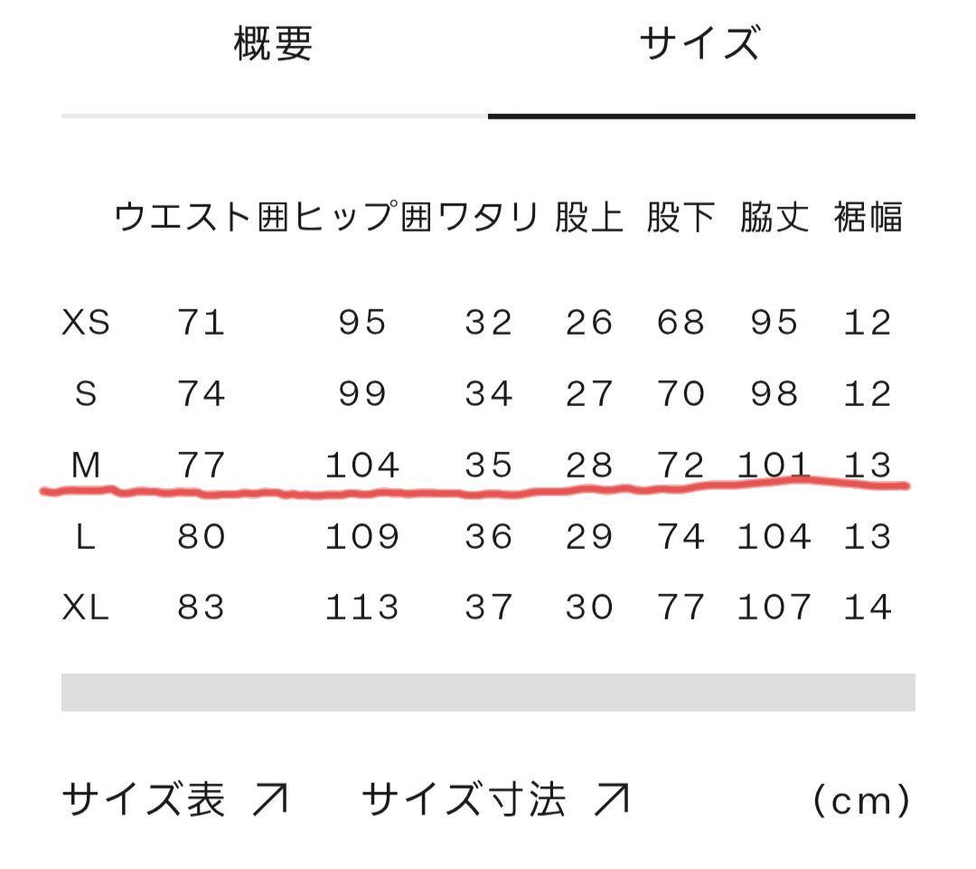 ノースフェイス　メンズ　セットアップ