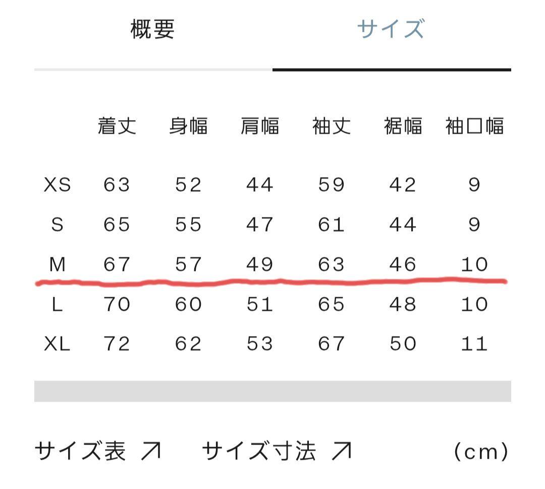 ノースフェイス　メンズ　セットアップ