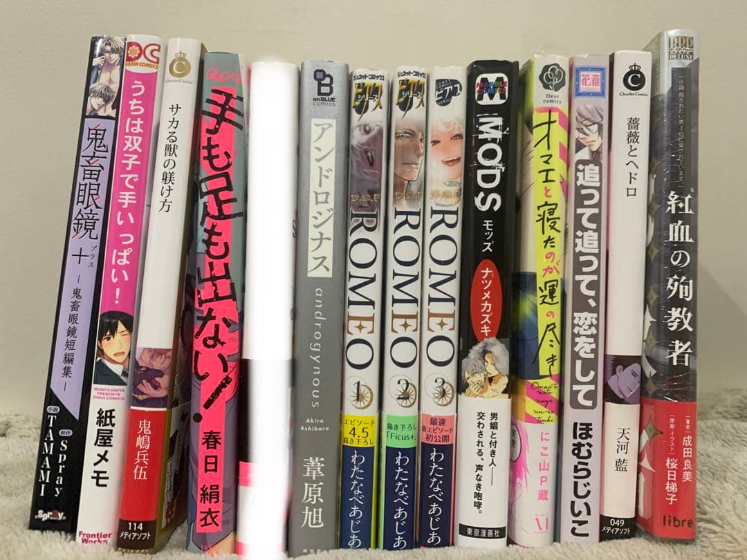 BL本　まとめ売り。バラ売り可