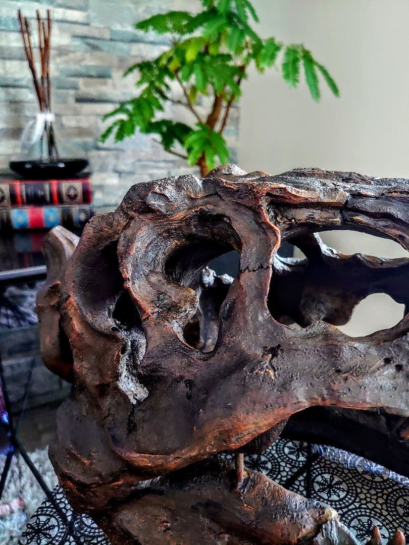 【2個セット】 ティラノサウルス トリケラトプス 頭骨 化石 レプリカ