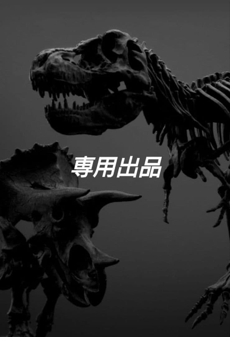 【2個セット】 ティラノサウルス トリケラトプス 頭骨 化石 レプリカ