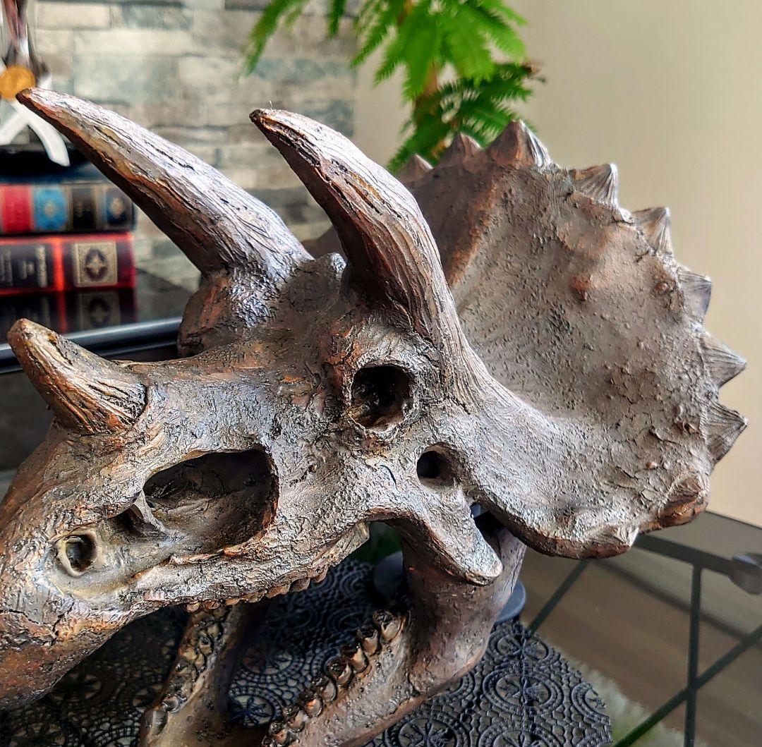 【2個セット】 ティラノサウルス トリケラトプス 頭骨 化石 レプリカ