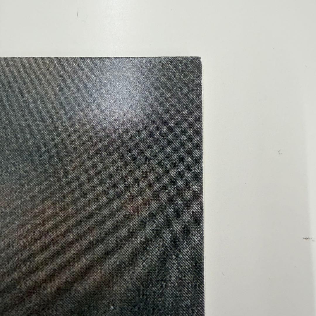 洋楽 THE GARDEN HORSESHIT ON ROUTE 66 vinyl