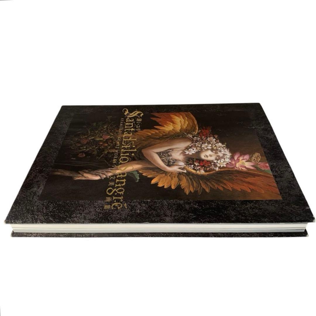 Santa Lilio Sangre緋いユリ : 小島文美画集