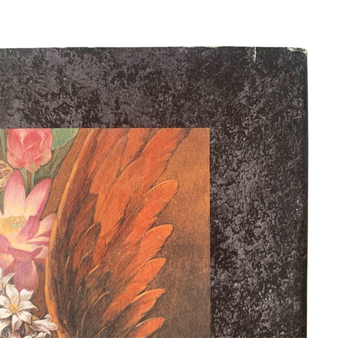 Santa Lilio Sangre緋いユリ : 小島文美画集