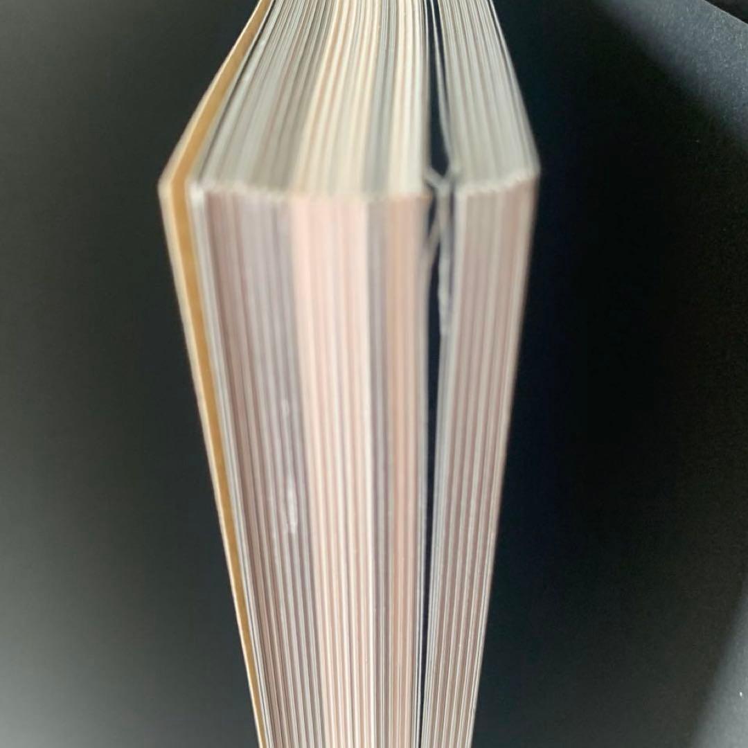 Santa Lilio Sangre緋いユリ : 小島文美画集