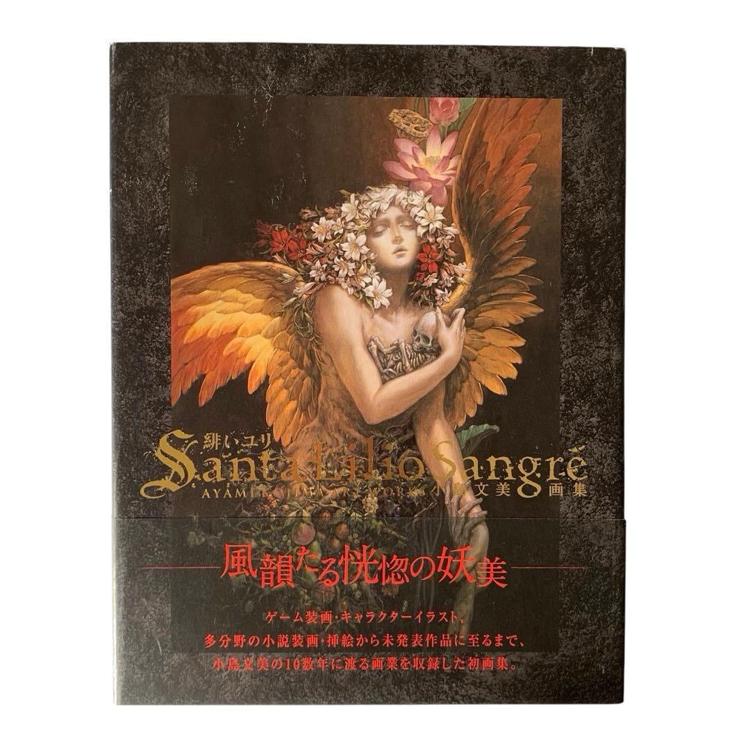 Santa Lilio Sangre緋いユリ : 小島文美画集