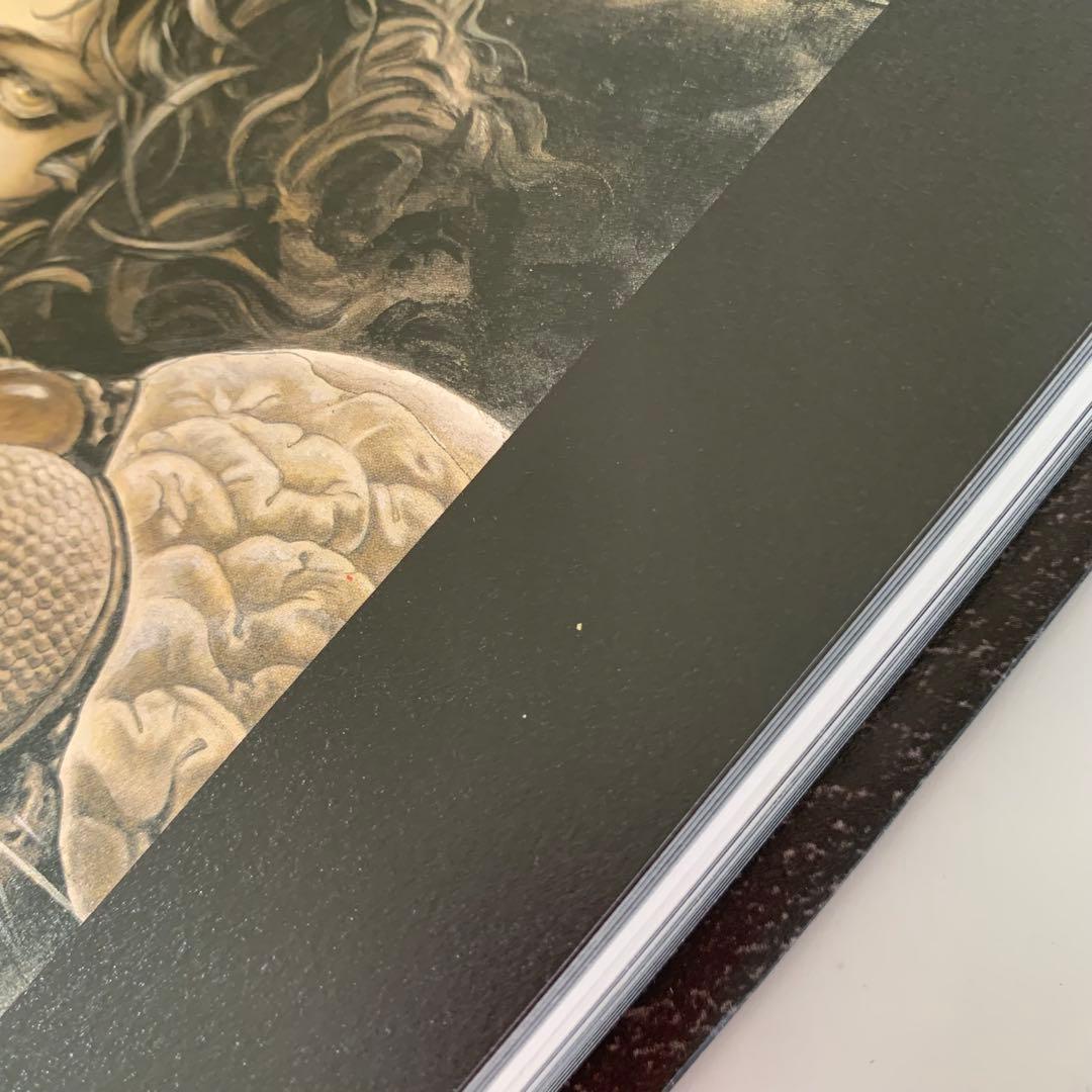 Santa Lilio Sangre緋いユリ : 小島文美画集