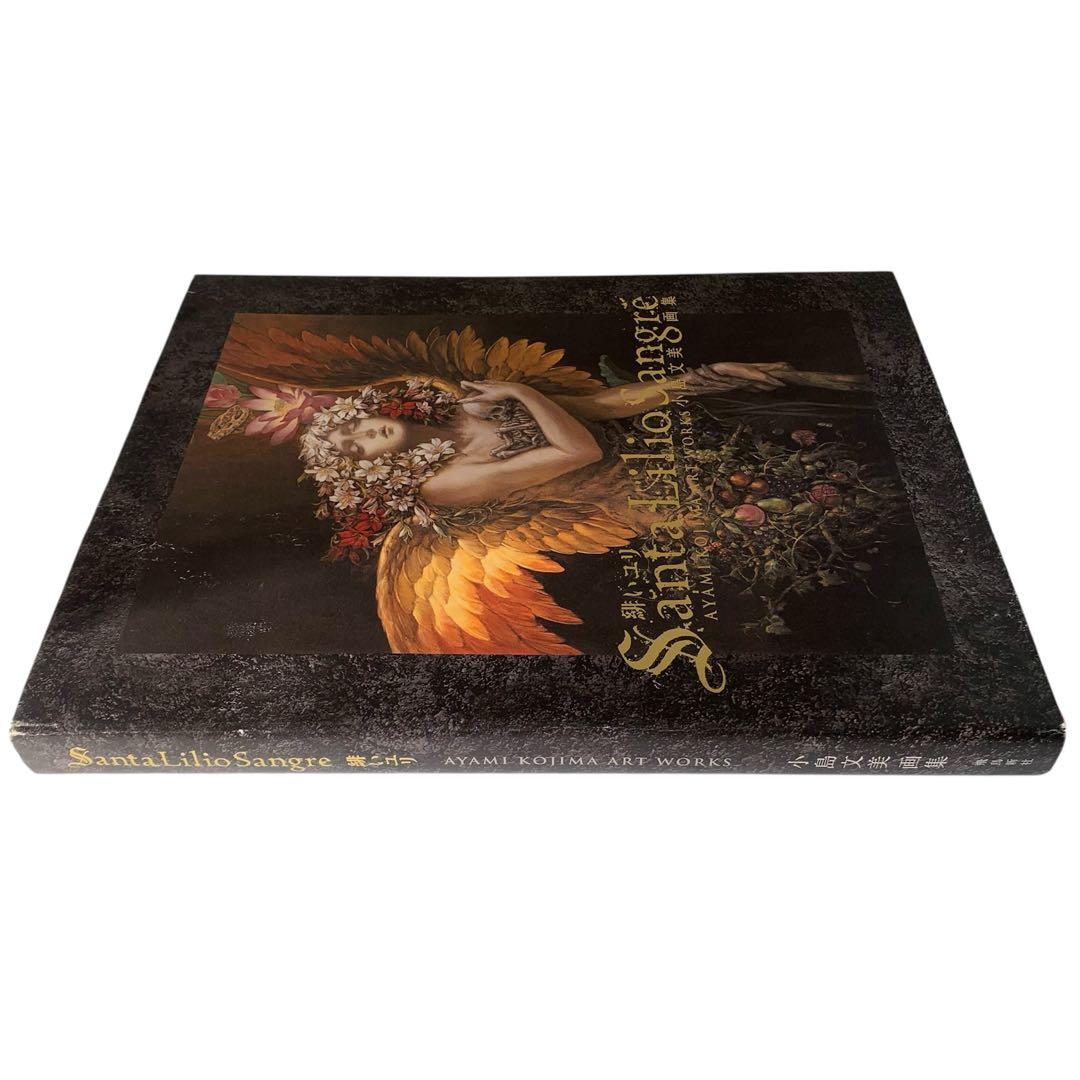 Santa Lilio Sangre緋いユリ : 小島文美画集