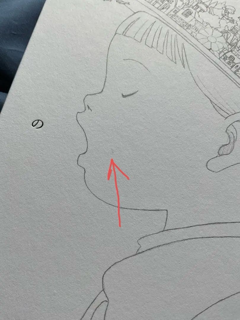 Junaida特別セット『のの』