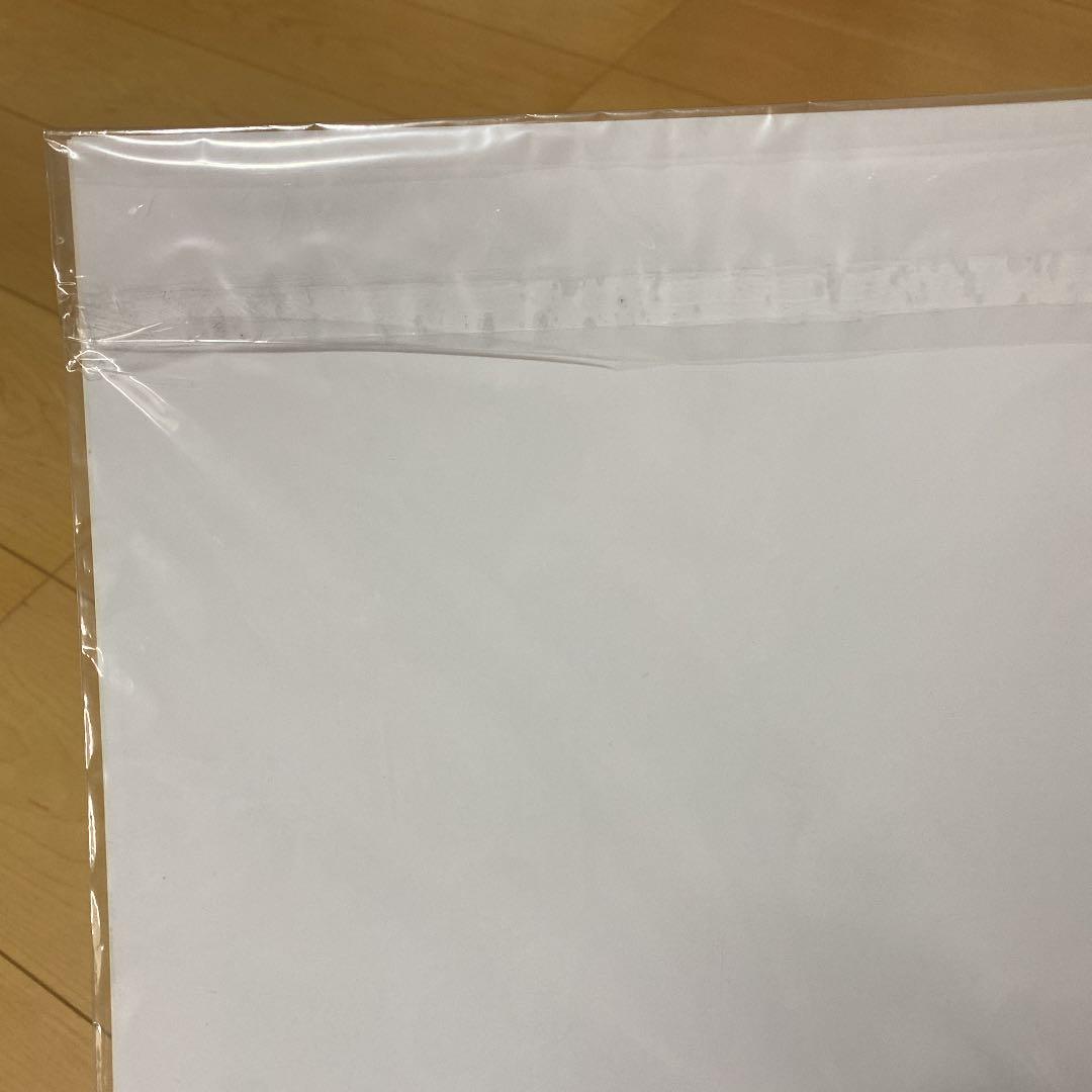 RAISE THE FLAG 初回限定生産盤