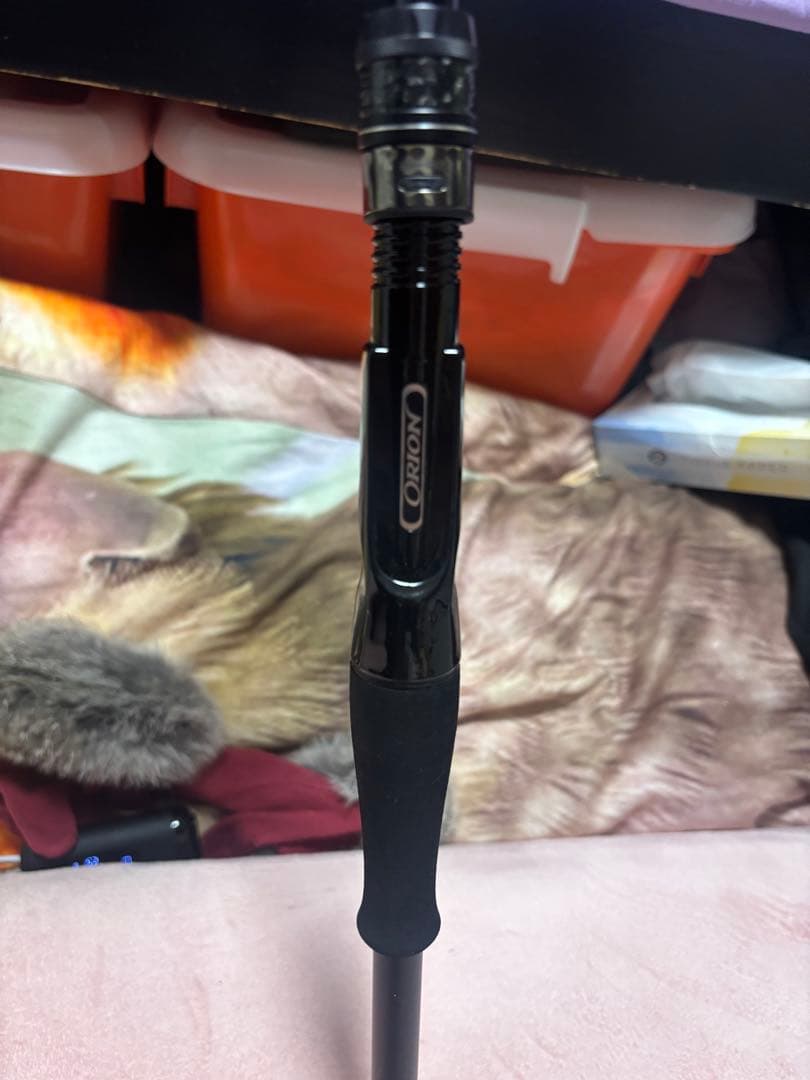 オライオンムーンゲイザー