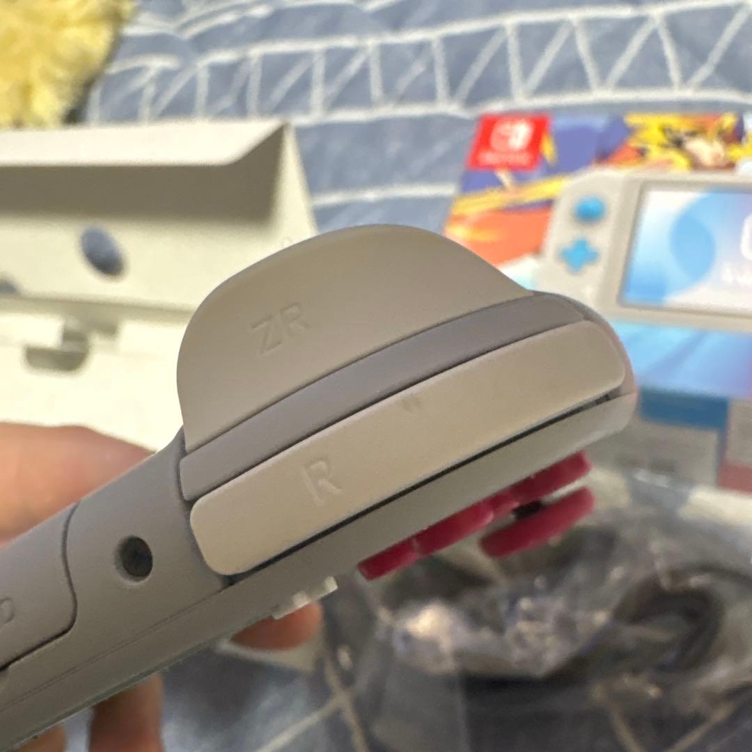 Nintendo Switch Lite ザシアン　ザマゼンタ　ポケモン