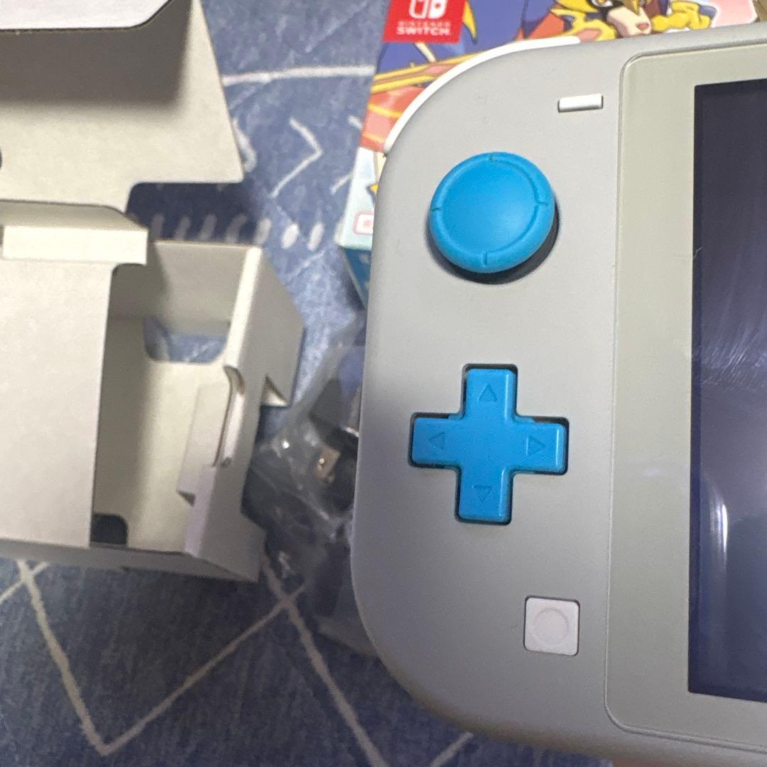 Nintendo Switch Lite ザシアン　ザマゼンタ　ポケモン