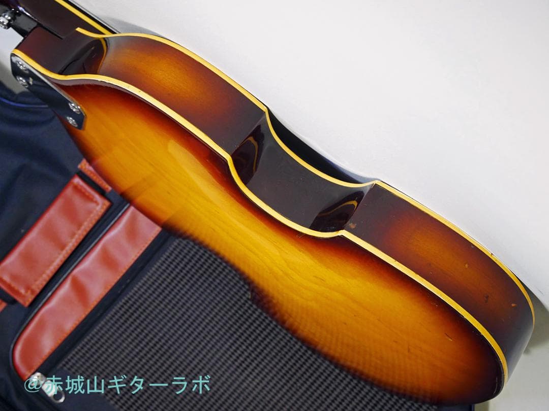 Greco バイオリンBASS VB300 1972年製 ☆ソフトGIGケース付