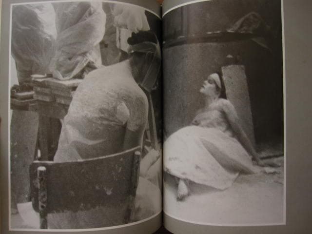 Wallflower　Deborah Turbeville　デボラ・ターバヴィル