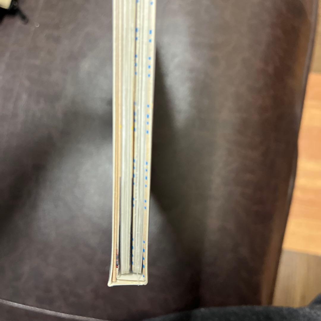 スペシャルドラマ めぞん一刻〈2枚組〉伊東美咲　高橋由美子　DVD 未開封　廃盤