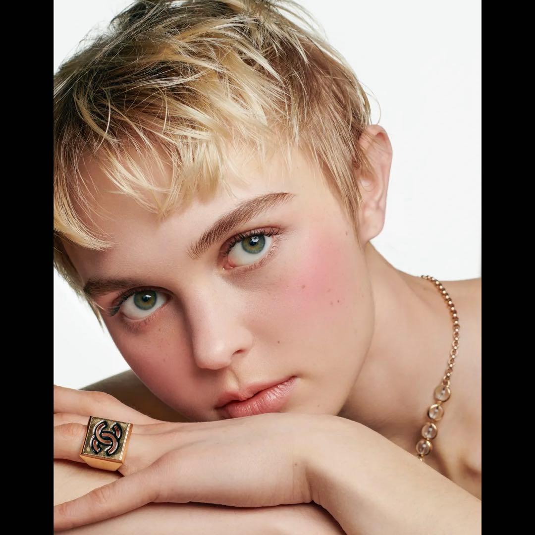 CHANEL 特別限定品 ルージュ ヌワール コンフィダンス