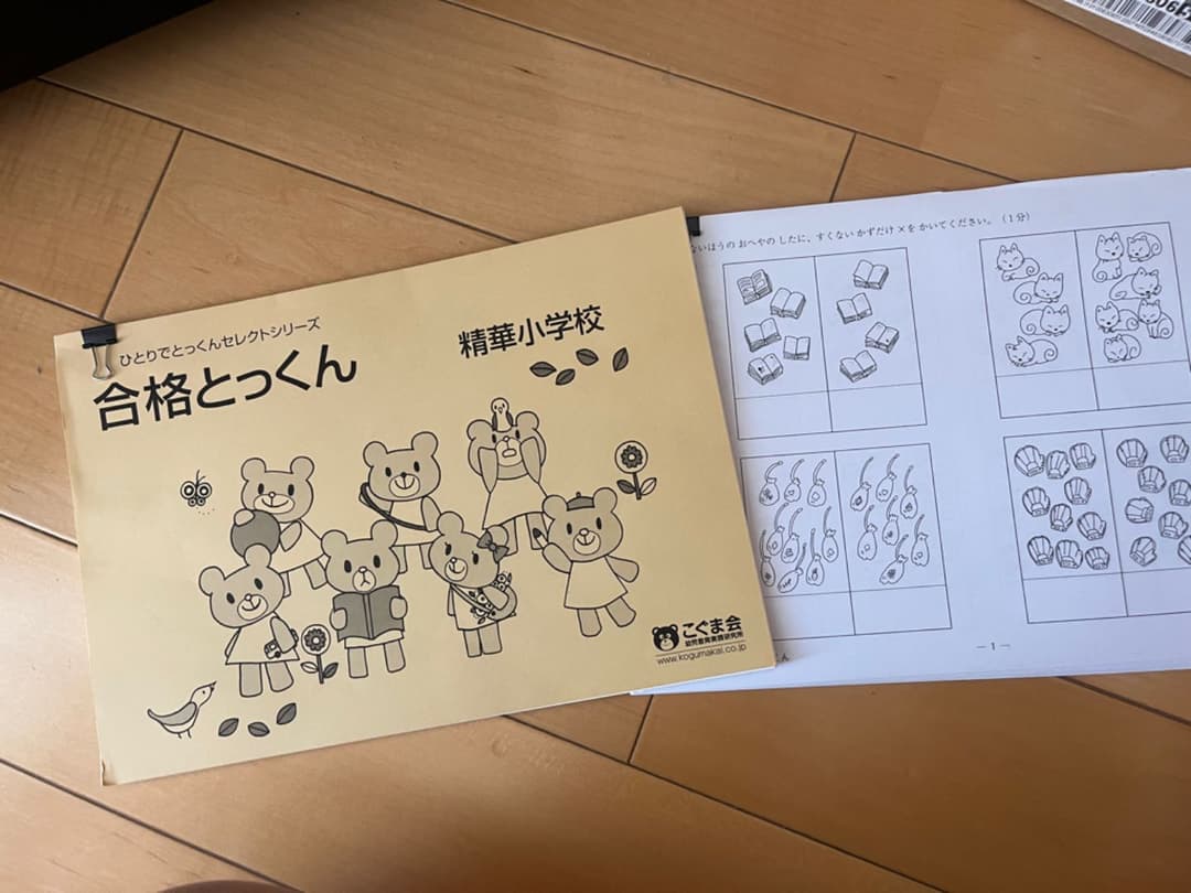 小学校受験　絶対合格　問題集　格安　新品　激安　過去問　模試対策　入試　知育