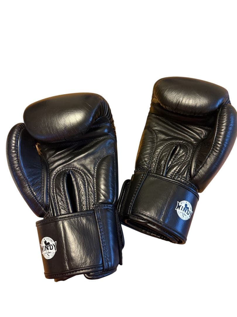 ボクシンググローブ12oz