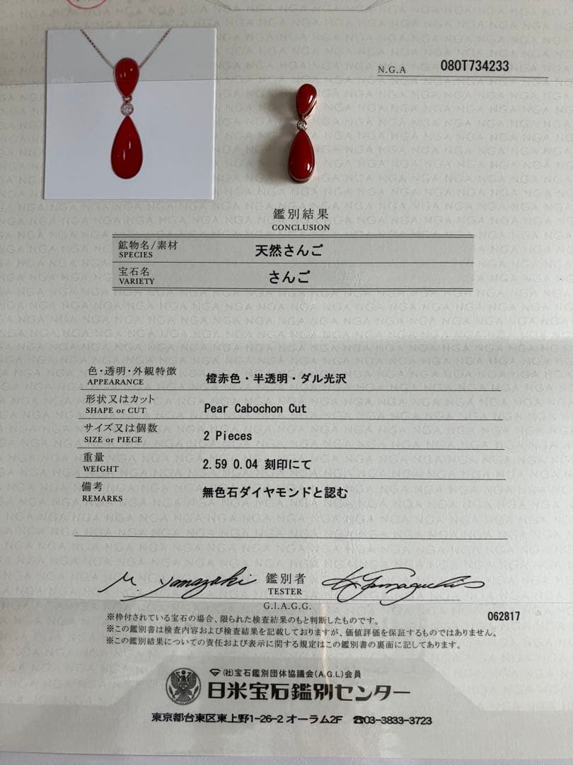 赤珊瑚　ペンダントトップ　ＰＧの台