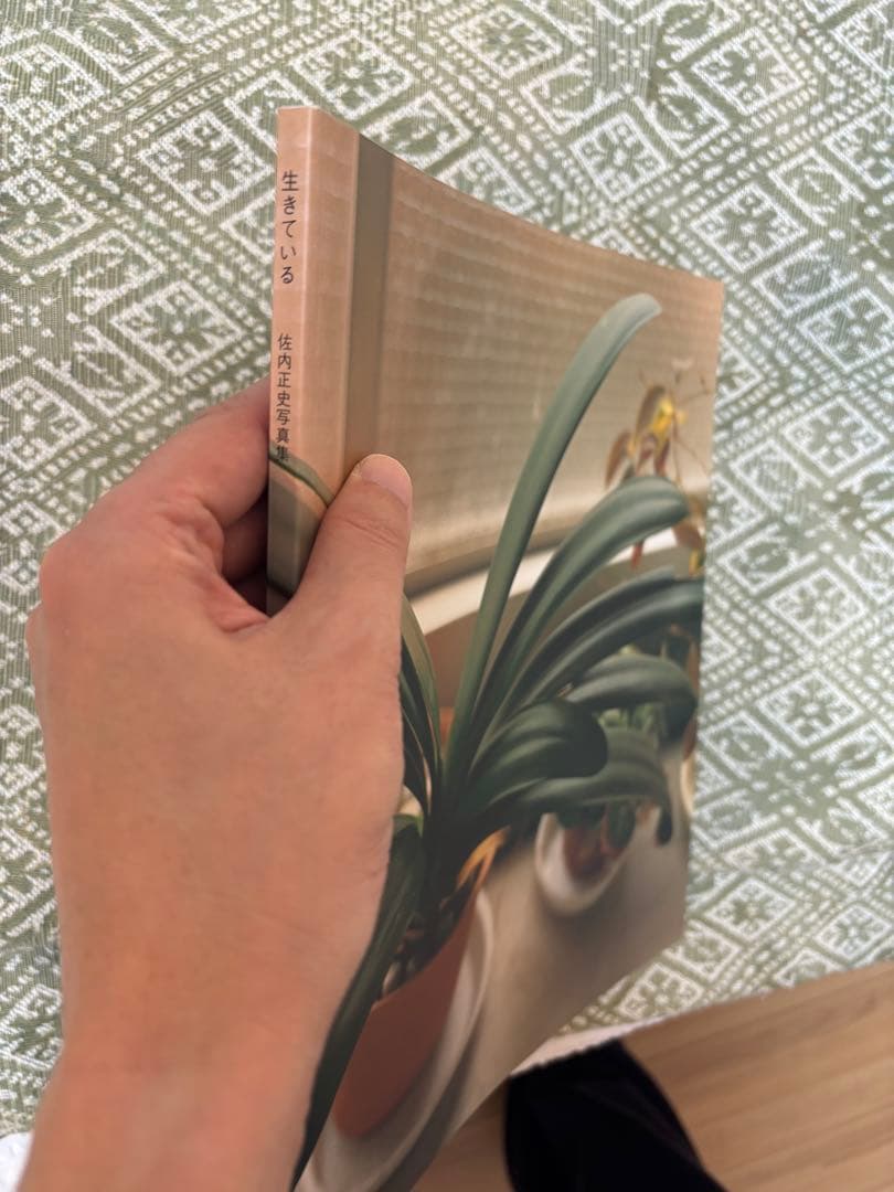 生きている 佐内正史