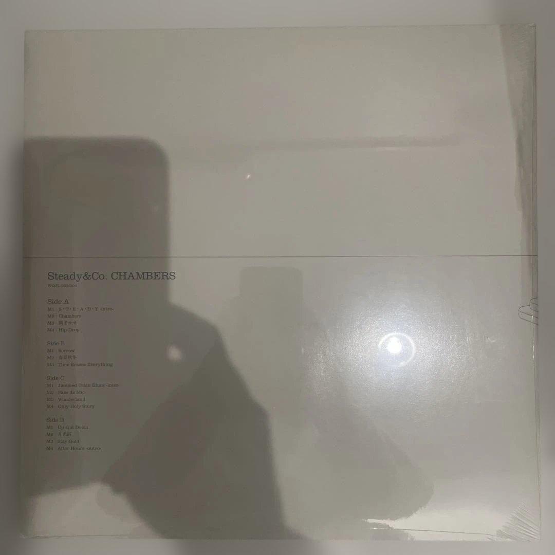 新品 Steady & Co. CHAMBERS LPレコードドラゴンアッシュ