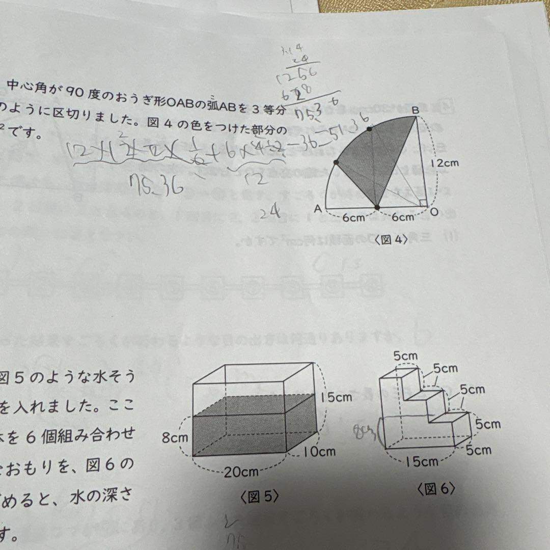 能開センター2025年度 小学6年中学受験実力判定模試 中学受験　解答&解説