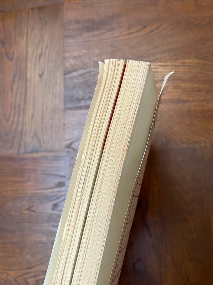 【希少】GUERRILLA ZINE No.5