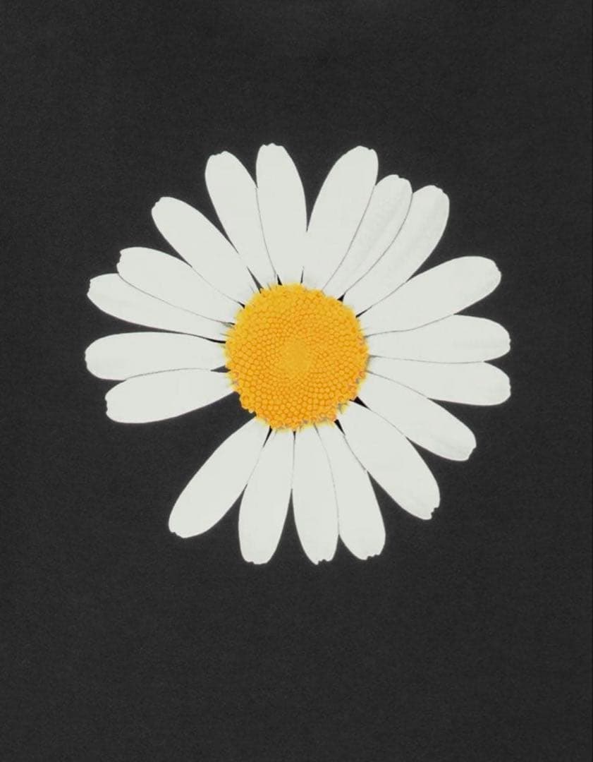 新品 PEACEMINUSONE Hypebeast 20周年記念 TシャツXL