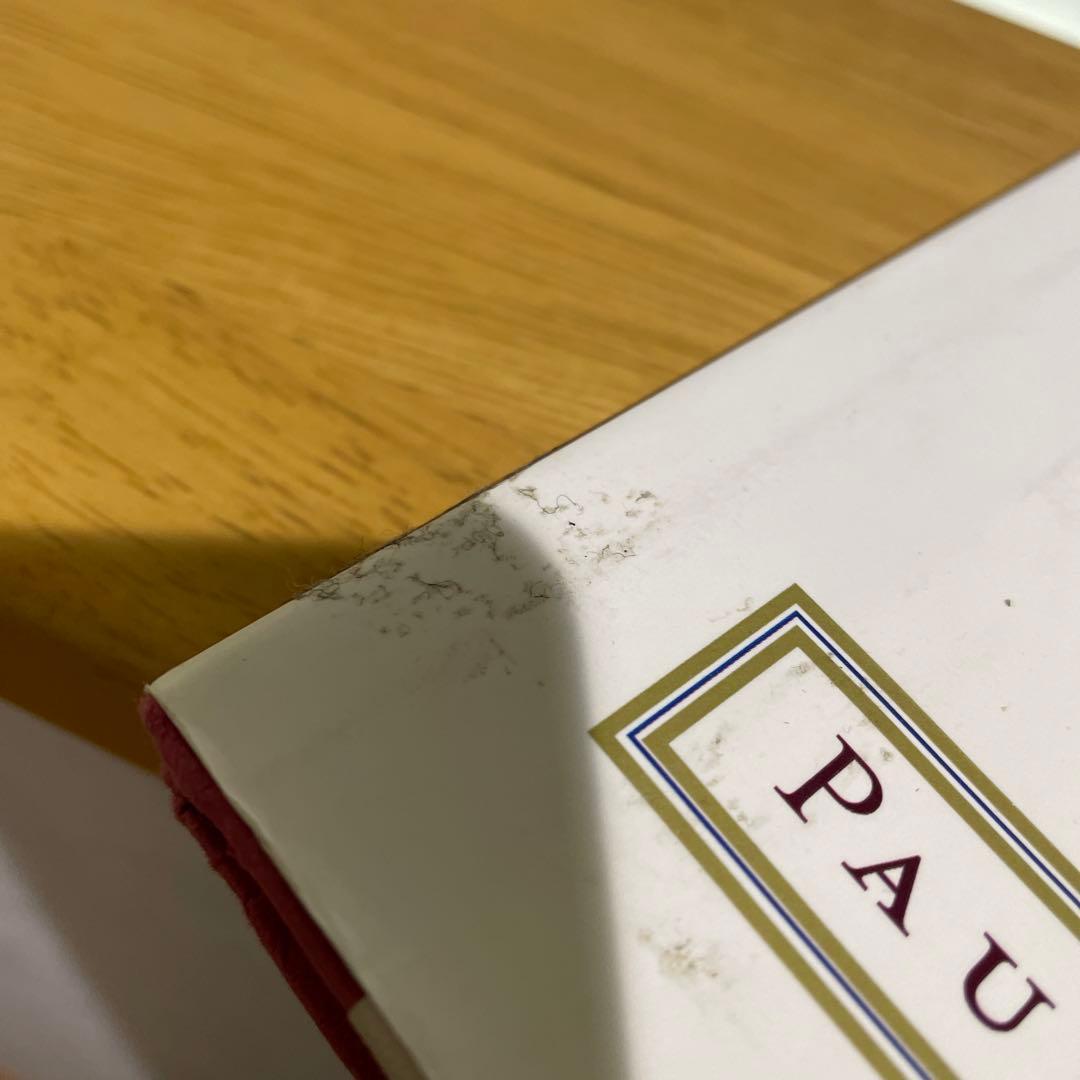 ポール・マッカートニー Blackbird Singing 英語版