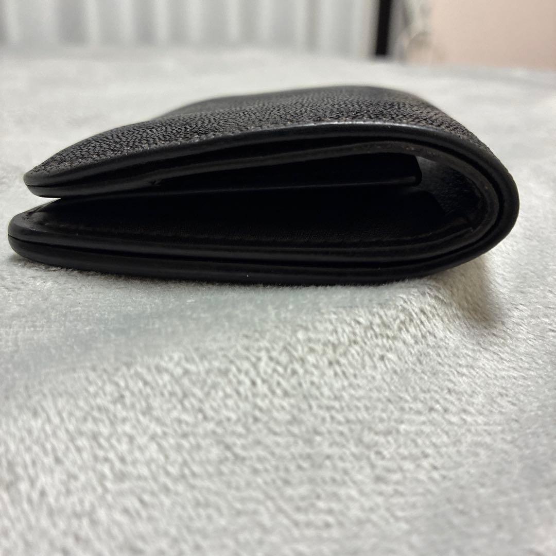 ワイルドスワンズ　パーム　エレファント