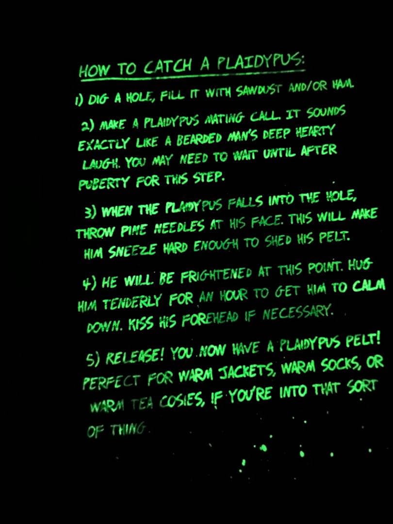 洋書 Journal3 special edition