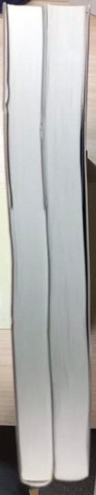 トップをねらえ2 アニメーション原画集 上下セット