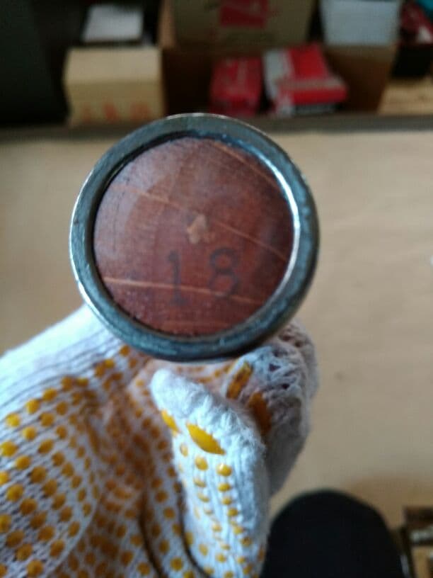 大内追入りノミ