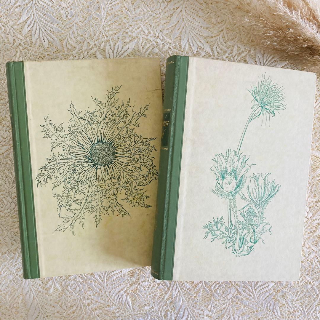 希少　ヴィンテージ植物図鑑2巻セット　繊細で美しい植物画300点　洋書・古書