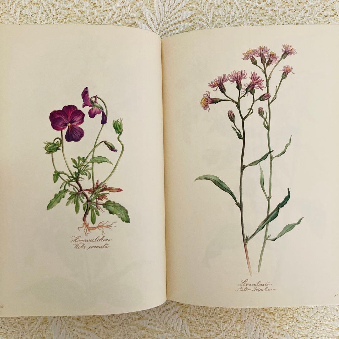 希少　ヴィンテージ植物図鑑2巻セット　繊細で美しい植物画300点　洋書・古書