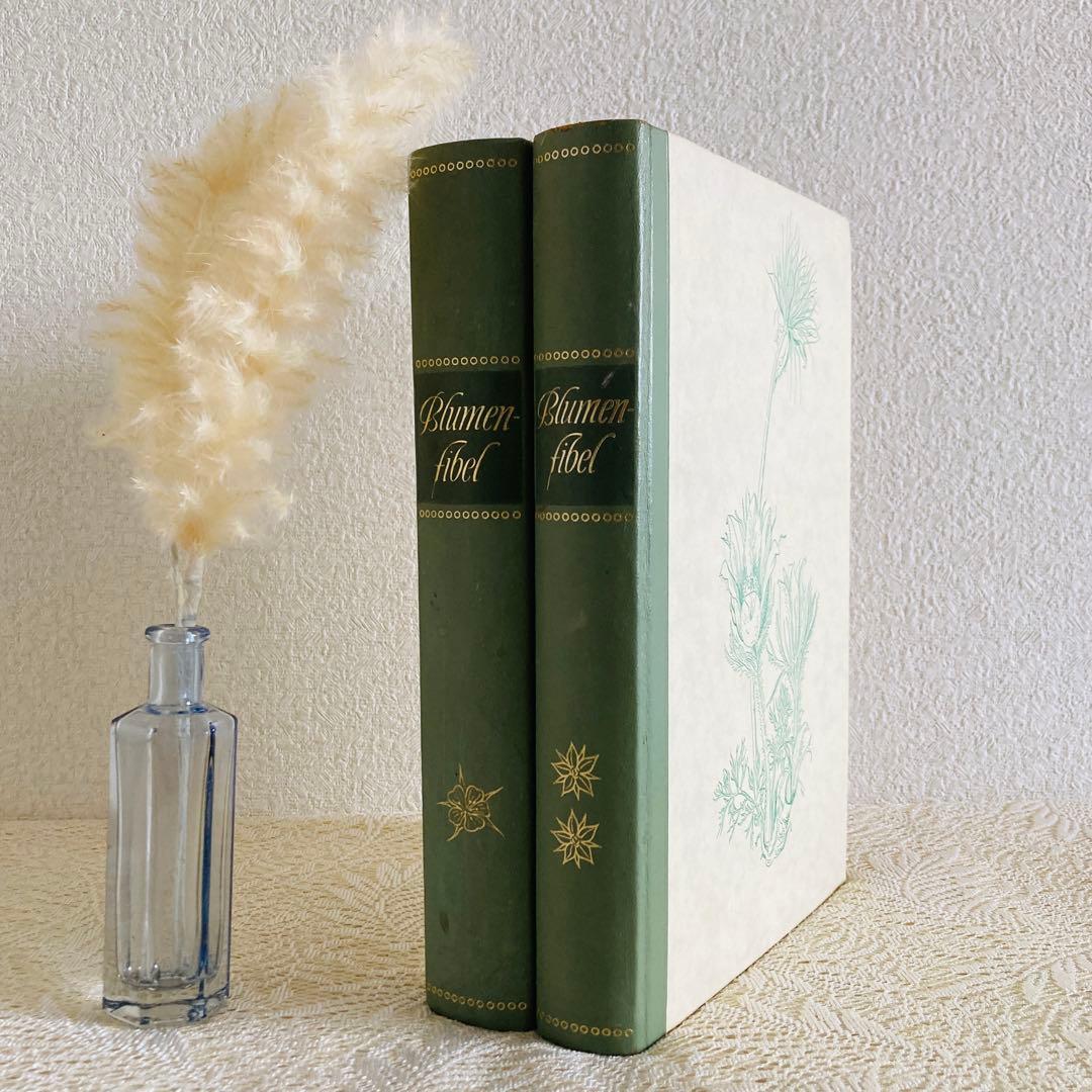 希少　ヴィンテージ植物図鑑2巻セット　繊細で美しい植物画300点　洋書・古書