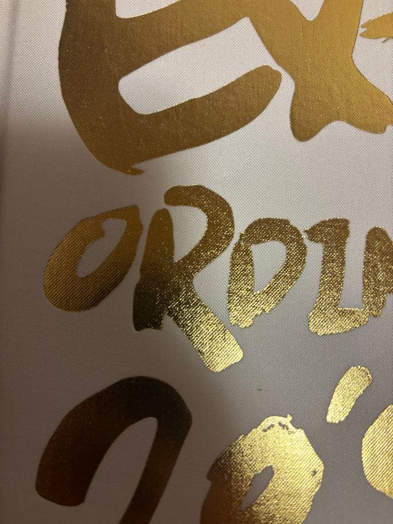 BIGBANG Extraordinary 20's 写真集