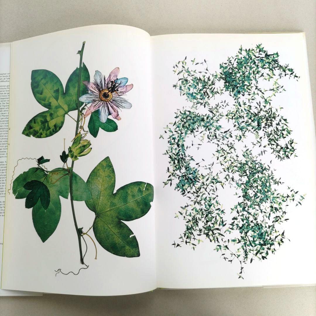 FLORA:Nick Knight/ニック・ナイト 写真集 植物標本 アート