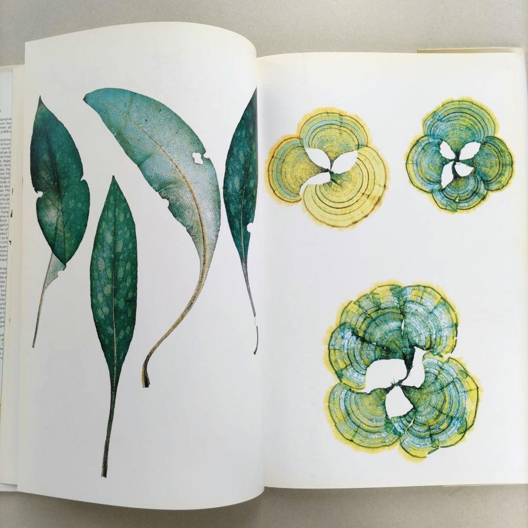 FLORA:Nick Knight/ニック・ナイト 写真集 植物標本 アート