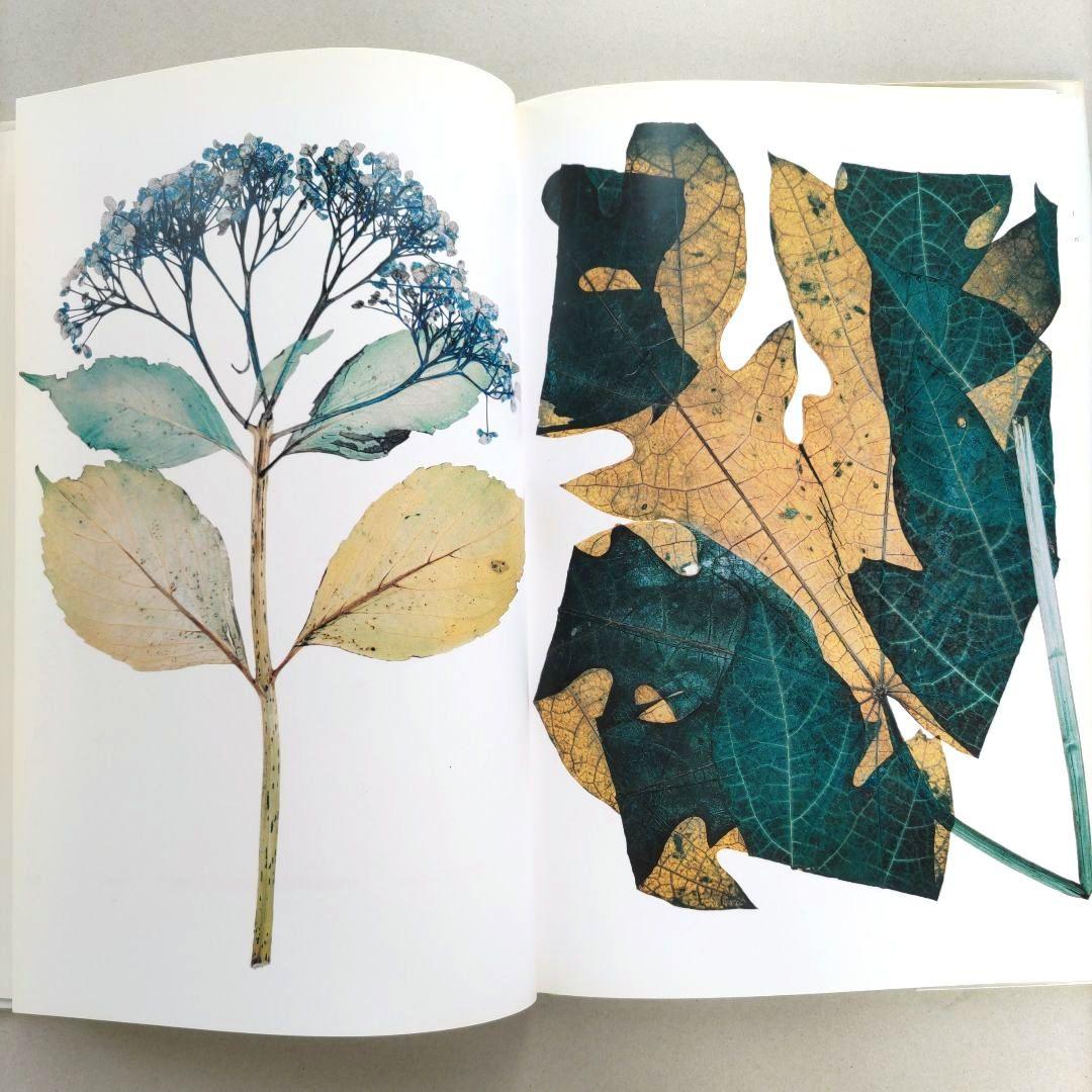 FLORA:Nick Knight/ニック・ナイト 写真集 植物標本 アート