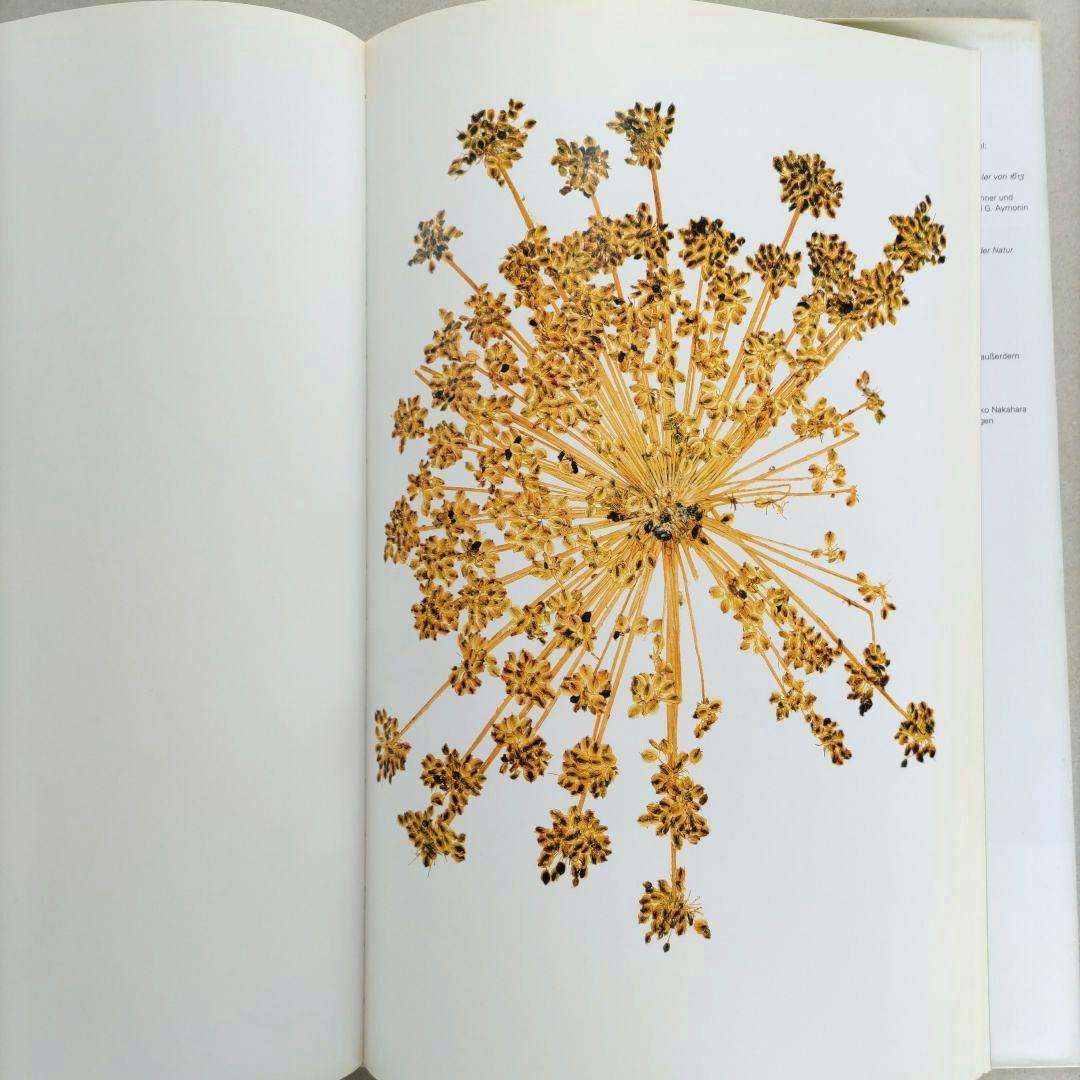 FLORA:Nick Knight/ニック・ナイト 写真集 植物標本 アート