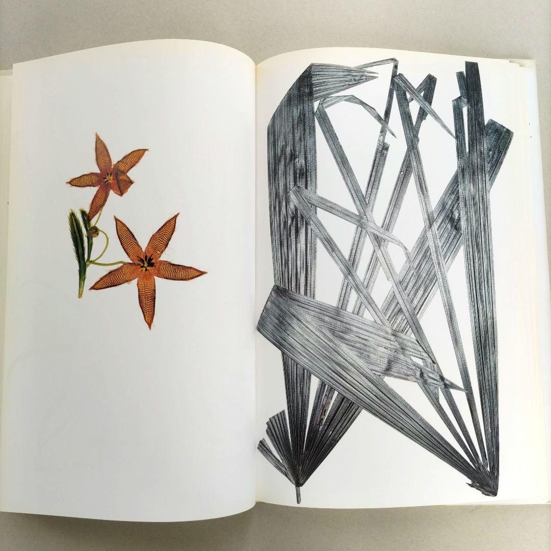 FLORA:Nick Knight/ニック・ナイト 写真集 植物標本 アート