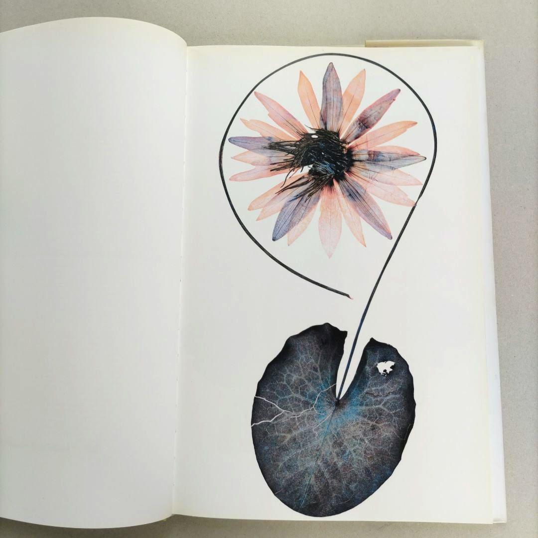 FLORA:Nick Knight/ニック・ナイト 写真集 植物標本 アート