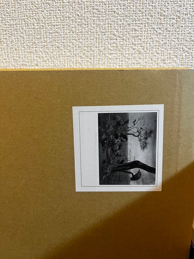 杉本博司　ポスター