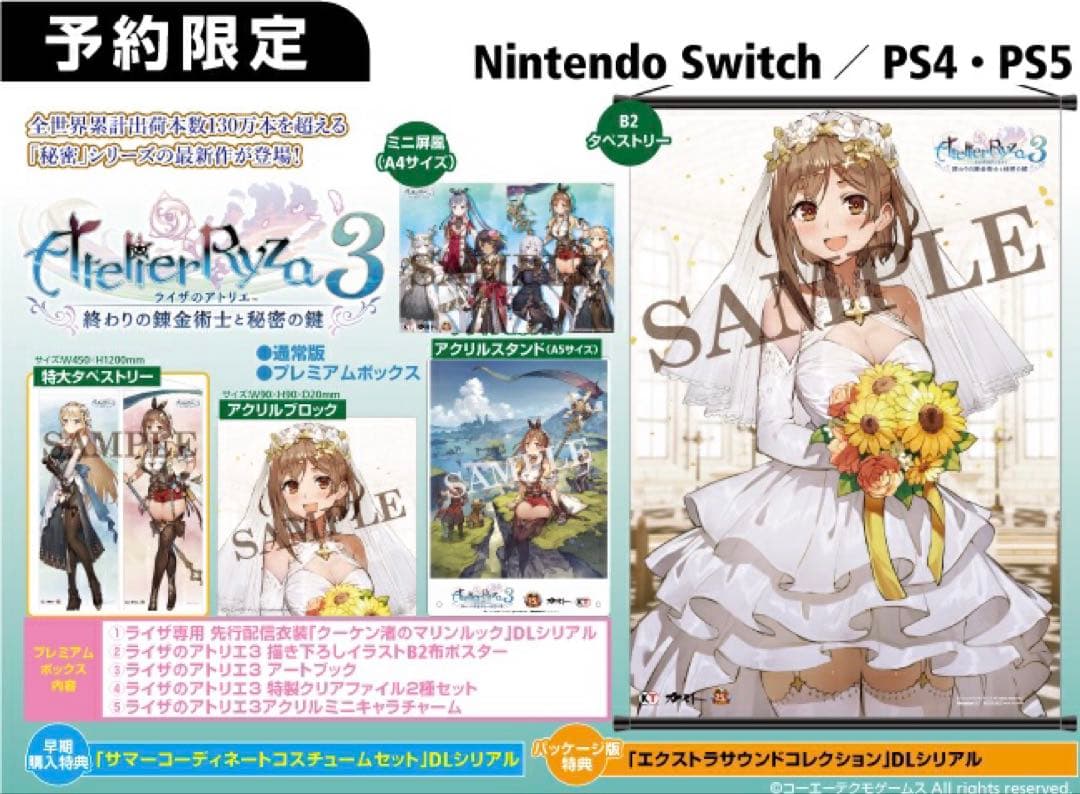 未開封 Switch ライザのアトリエ3プレミアムボックスWonderGOO特典